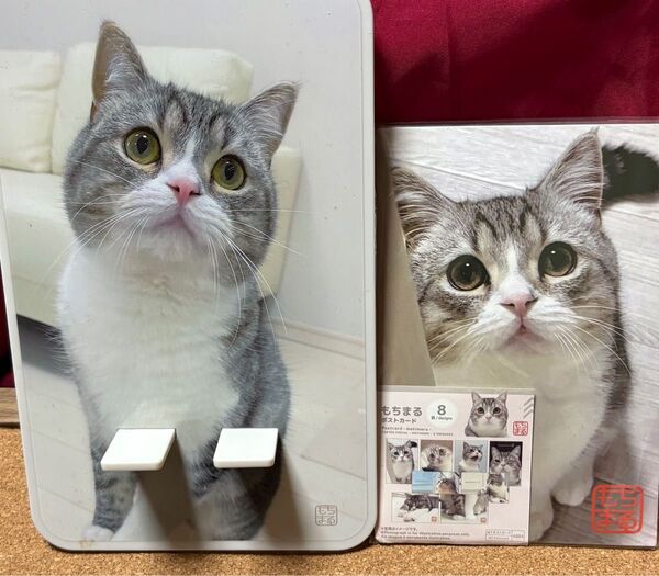 もちまるポストカード. もちまる携帯縦置き
