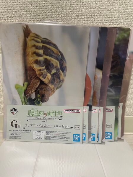 一番くじ 爬虫類&両生類 G賞 クリアファイル&ステッカーセット 6種 新品未開封
