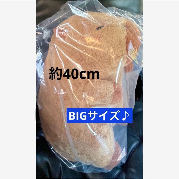 しあわせハピバラちゃん ウルトラBIG ねむちゃん カピバラ かぴばら ぬいぐるみ