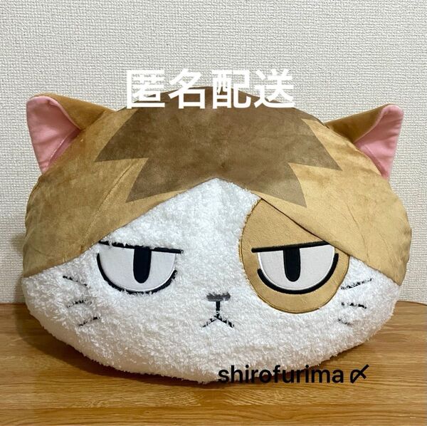 ハイキュー!! アニマルBIGぬいぐるみ2 ケンマネコ 孤爪研磨 ハイキュー アニマル bigぬいぐるみ 孤爪 研磨