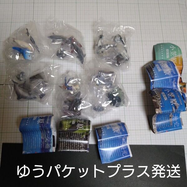 「新品未開封」小笠原 特装版 ネイチャーテクニカラー 6種6個 コンプリート