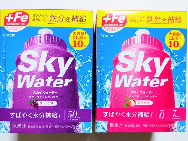 クラシエ スカイウォーター スポーツドリンクパウダー粉末 ×2箱 計20L分(1L用×20袋)機能性表示食品 栄養機能食品