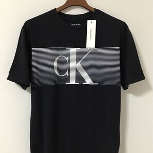 新品 Calvin Klein カルバン クライン メンズ ビッグロゴ Tシャツ