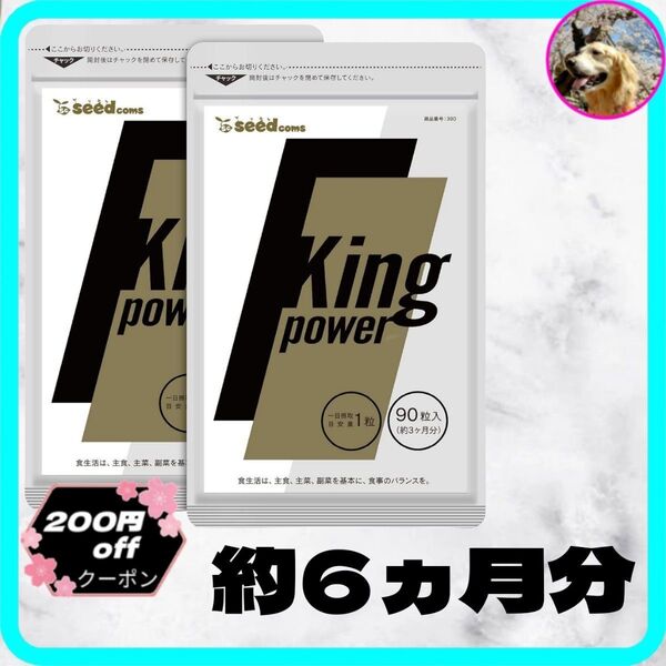 【賞味期限27年5月】20倍濃縮マカ 100倍濃縮トンカットアリ 180粒 180日分 約6ヶ月分 サプリ クーポン