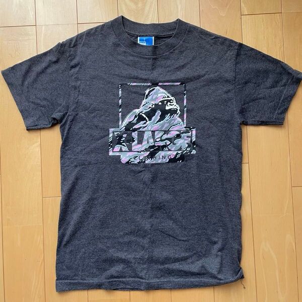 Tシャツ エクストララージ XLARGE Sサイズ