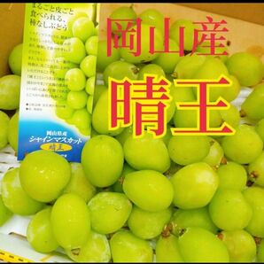 岡山産 シャインマスカット #1