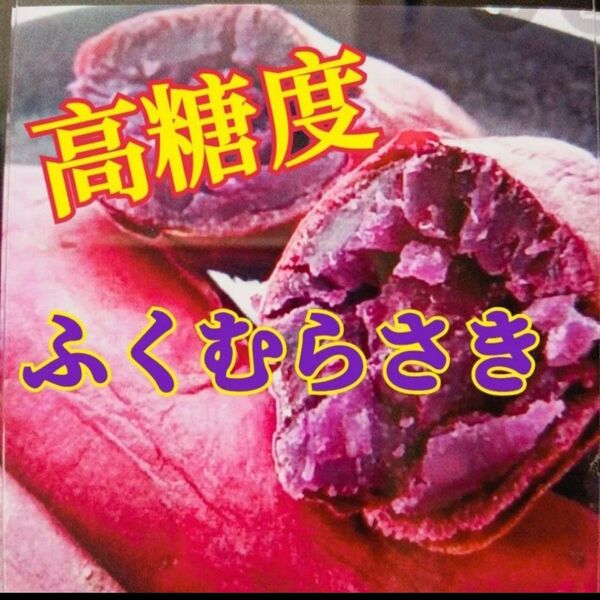☆希少☆ 茨城県産 紫芋 ふくむらさき ☆6