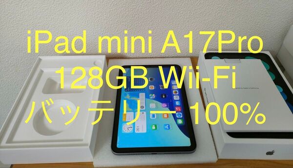 【美品】iPad mini 第7世代 (A17Pro) Wi-Fi 128GB スペースグレイ MXN63J/A 動作確認済み