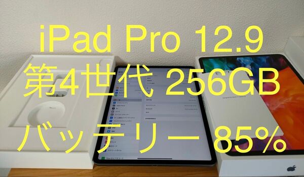 iPad Pro 12.9インチ 第4世代 Wi-Fiモデル 256GB スペースグレイ MXAT2J/A 動作確認済み
