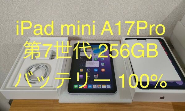 【美品】iPad mini 第7世代 (A17Pro) Wi-Fiモデル 256GB パープル MXNE3J/A 動作確認済み