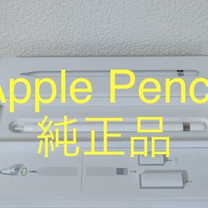 Apple Pencil 第1世代 MQLY3J/A A1603 純正品 動作確認済み