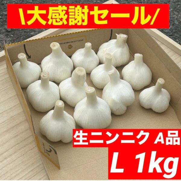 【大感謝セール】新物 青森県産 生にんにく A品 L 1kg 福地ホワイト六片
