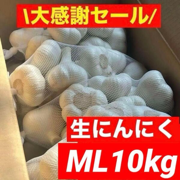 【大感謝セール】新物 青森県産 生にんにく ML 10kg福地ホワイト六片