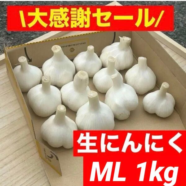 【大感謝セール】新物 青森県産 生にんにく ML 1kg福地ホワイト六片