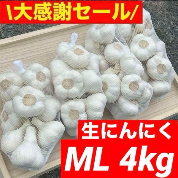 【大感謝セール】新物 青森県産 生にんにく ML 4kg福地ホワイト六片
