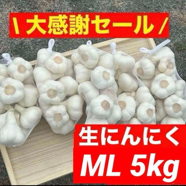 【大感謝セール】新物 青森県産 生にんにく ML 5kg福地ホワイト六片