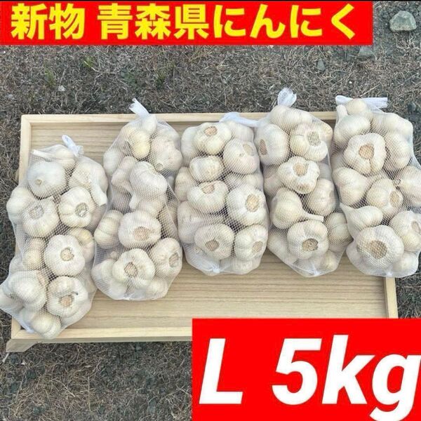 【大特価】新物 青森県産 にんにく L 5kg福地ホワイト六片 絶品