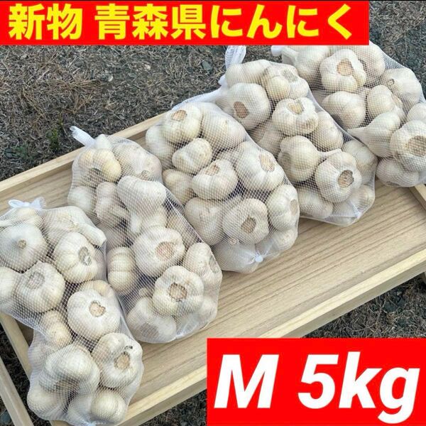 【大感謝セール】新物 青森県産 にんにく M 5kg福地ホワイト六片 加工オススメ
