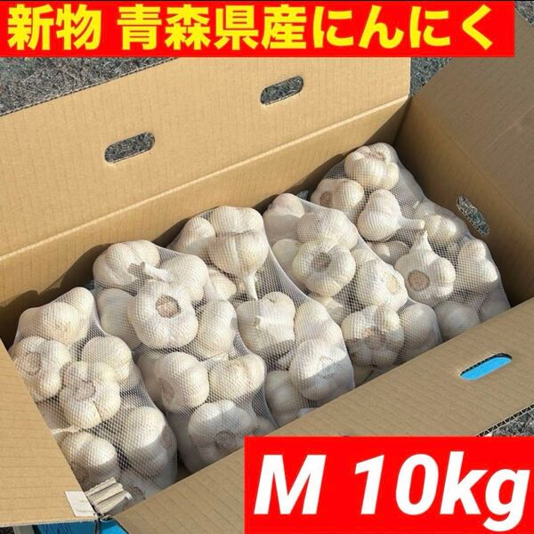 【大感謝セール】新物 青森県産 にんにく M 10kg福地ホワイト六片 加工オススメ