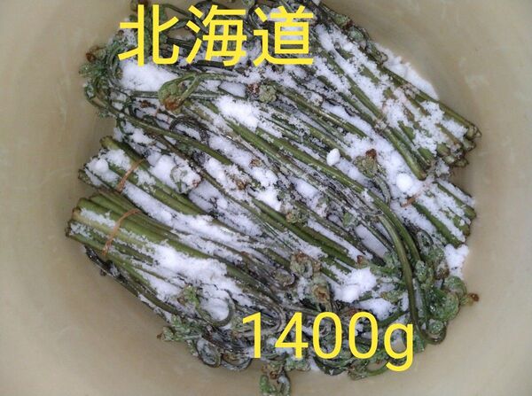 北海道 天然 わらび ワラビ 塩漬け 1400g相当