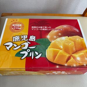 鹿児島マンゴープリン