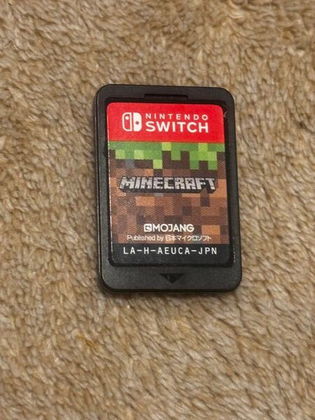 Nintendo Switch マインクラフト ソフトのみ