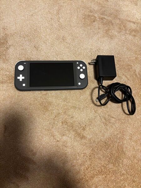 Nintendo Switch Lite グレー 本体のみ