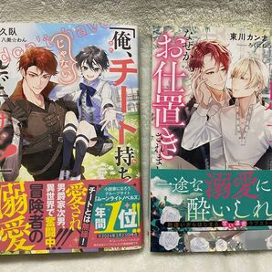 俺、チート持ちじゃないんですけど! / 意中の騎士に失恋してヤケ酒呷ってただけなのに、なぜかお仕置きされました