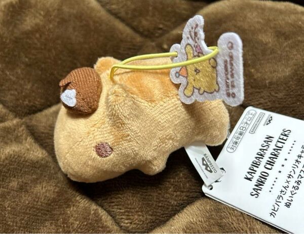 カピバラさん×サンリオキャラクターズ ぬいぐるみマスコットvol.2