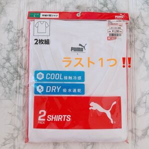 Lサイズ 2枚組 半袖 V首シャツ Vネック 肌着 接触冷感 吸水速乾 PUMA しまむら インナー アンダーシャツ 紳士物 白