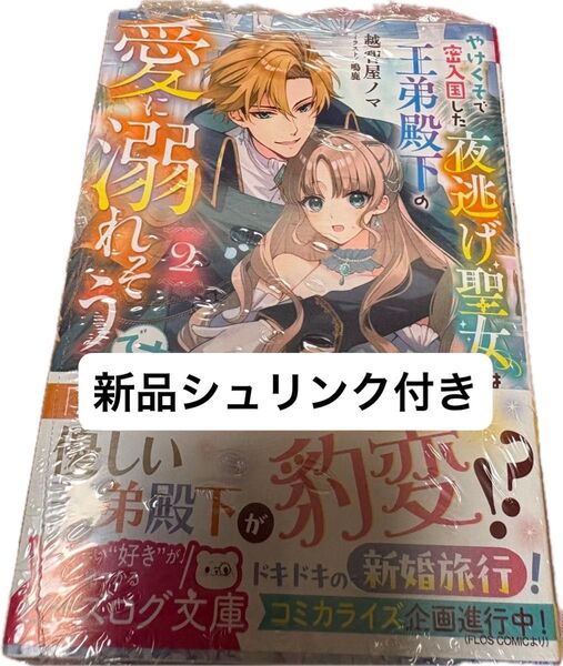 新品シュリンク付、やけくそで密入国した夜逃げ聖女は、王弟殿下の愛に溺れそうです、2(ビーズログ文庫 お-14-02) 越智屋ノマ