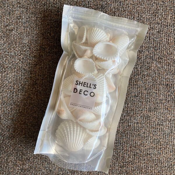 SHELL'S DECO 貝殻