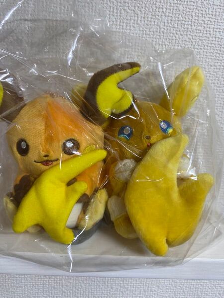 にたものどうし ライチュウ アローラライチュウ ポケモンセンター