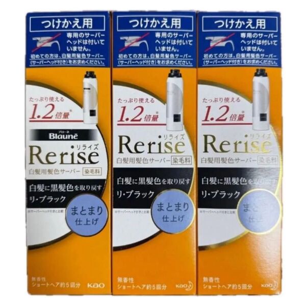 新品 花王 Rerise リライズ 白髪用 白髪染めサーバーヘッド つけかえ用 サーバー ブラック 黒 ヘアカラー まとまり仕上げ