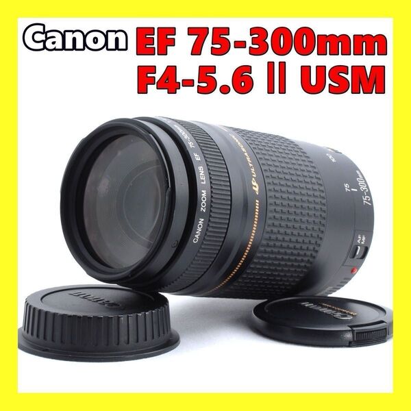 ★迫力300mm★Canon EF 75-300mm 1:4-5.6 Ⅱ★超望遠