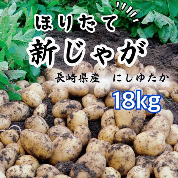 農家直送 長崎県産 新じゃが 18キロ