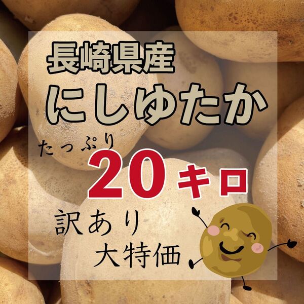 農家直送 長崎県産 新じゃが 訳あり 20キロ
