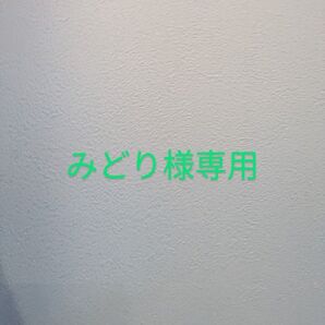 みどりさま専用 いれいす Ifくん缶バッジ