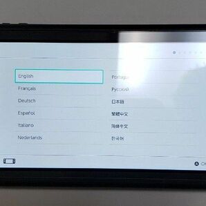 Nintendo Switch Lite 本体 グレー