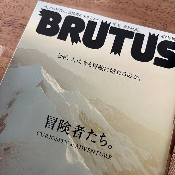 BRUTUS(ブルータス) 2025年7月15日号 (マガジンハウス)