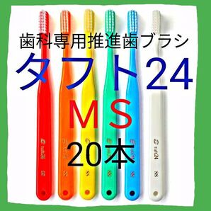 タフト24 MS 20本 お値引中 ! 最安値 ! 歯科専用推進歯ブラシ ※ クーポン使って更にお買得に !