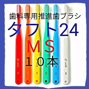 タフト24 MS 10本 お値引き中 ! 最安値 ! 歯科専用推進歯ブラシ ※ クーポン使って更にお買得に ! ※