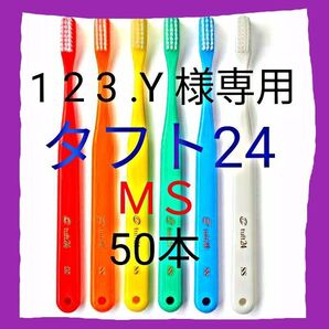 タフト24 MS 50本
