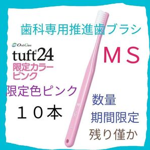 タフト24 MS 限定色ピンク! 10本 数量限定! お値引き中! 歯科専用推進歯ブラシ※ クーポン使ってお買得に !