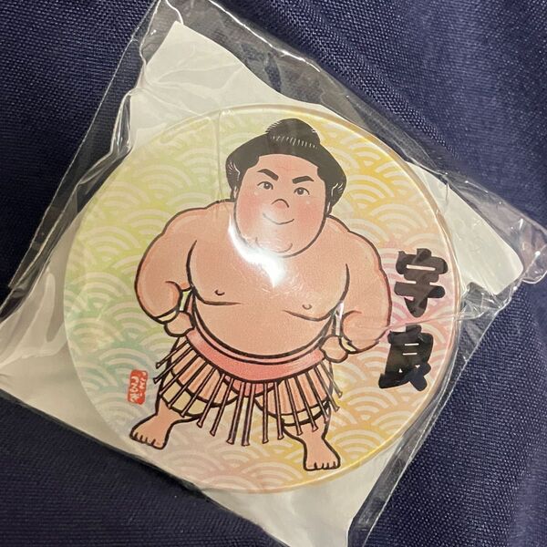 新品 宇良 マグネット 美品 レア 未開封 未使用 木瀬部屋 両国国技館 限定 大相撲 力士