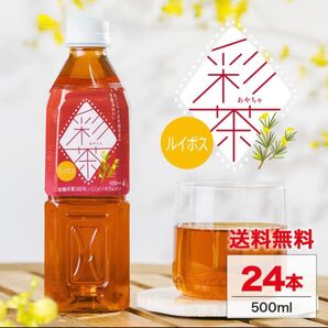 ルイボスティー 【 彩茶 -あやちゃ- ルイボス 】 お茶 500ml×24本 送料無料 ノンカフェイン