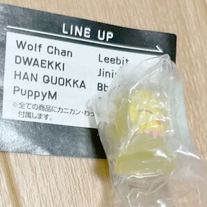 Stray Kids スキズ めじるしアクセサリー ポガリ ガチャ popup skzoo ポップアップ