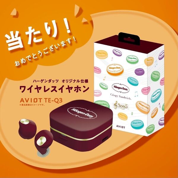 【新品】AVIOT TE-Q3 / ワイヤレスイヤホン / ハーゲンダッツ 当選品