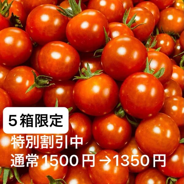 ミニトマト1kg 岐阜県中津川産