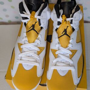 新品未使用NIKE AIR JORDAN 6RETRO YELLOW OCHRE 10h